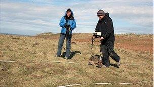 Archaeologists carry out a geophysical survey of Skomer Island