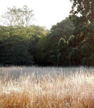 Langley Park (Image: BBC)