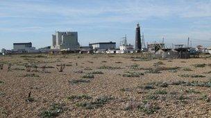 Dungeness