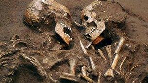 Neolithic skeletons (generic)