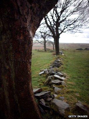 Thornton Moor