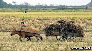 Farm in North Korea