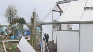 Damage to allotments in Newport