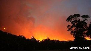 Picture of the Australian bush with the sky lit up by fire