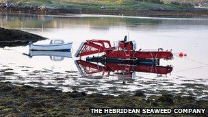 Seaweed harvester