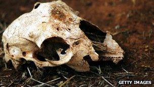 A 10,000 acre property owned by the Orr family on January 26, 2010 in Parkes, Australia.