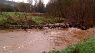 River Lowman, Tiverton