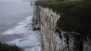 Bempton Cliffs