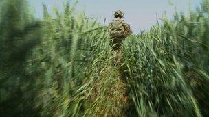 Nato soldier on patrol in Helmand province