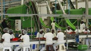 Factory workers in Ivory Coast process cashew nuts.