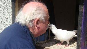 Cathal Fox with one of his racing pigeons