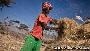 Man next to a pile of hay