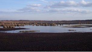 Wedholme Flow mosses, Solway Plain