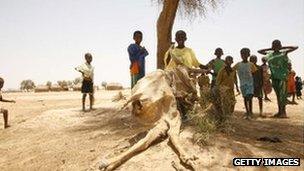 African children with cow carcass