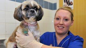 Daisy with PDSA vet nurse Jo Buller