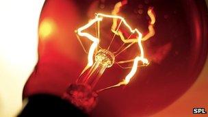 Electric light bulb