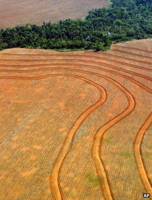 Deforested area, Brazil (Image: AP)