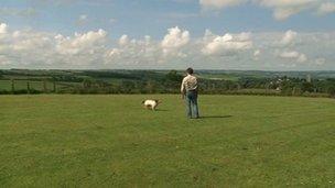 Field in Chittlehampton