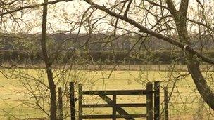 Chilmington farmland