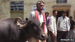 Heeralal Gurjar with his buffalo outside the court in Rajasthan