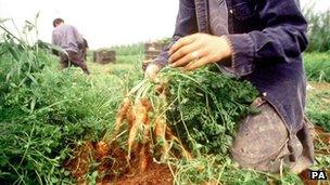 Agricultural workers