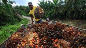 A worker loads palm oil seeds in Serba Jadi, East Aceh, on December 11, 2010