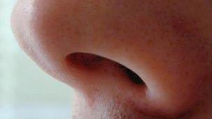 Human nose