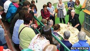 Wool grading demonstration