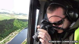 Forestry Commission photographer