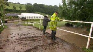 Torr Bridge, Yealmpton