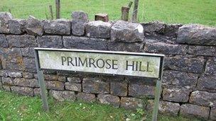 Primrose Hill, Y Bont-Faen