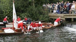 Swan Uppers catching swans