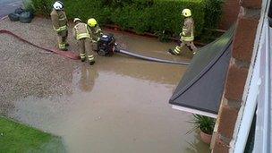 Front garden at Kerry, near Newtown