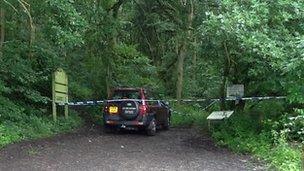 Landrover Freelander in woodland