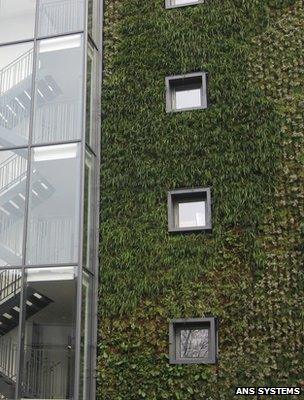 Green Wall (Image: ANS Systems)