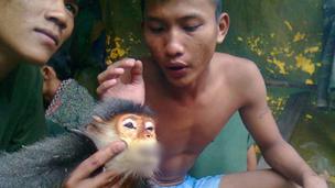 Soldiers torturing a monkey