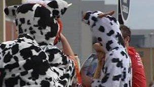 Dairy farmer supporters dressed as cows