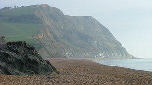 Dorset coast