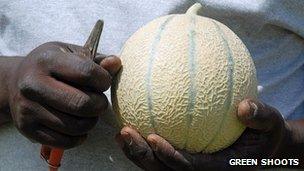 An African melon