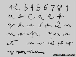 Eye-written letters and numbers