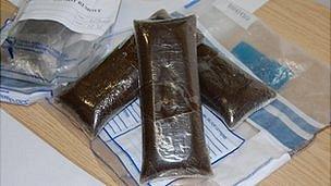 Drugs seized by Guernsey Border Agency