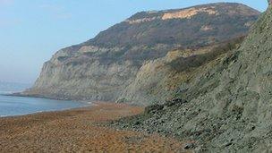 Dorset coast