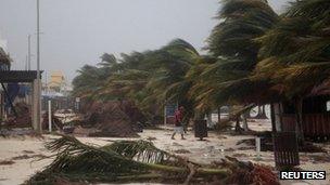 A resident walks past swaying palm trees following the passing of Hurricane Ernesto in Mahahual, in the Mexican state of Quintana Roo, 8 August 2012