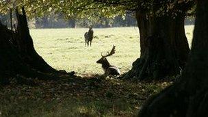 Cornbury Park