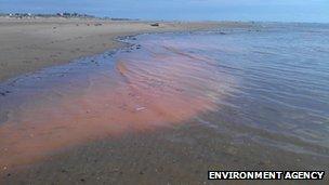 Algae in Blackpool sea