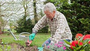 Man gardening