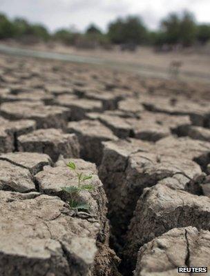 Parched river bed, India (Image: Reuters)