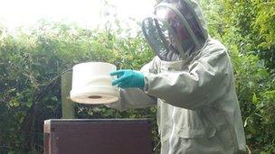 Putting a feed of sugar syrup on the bees