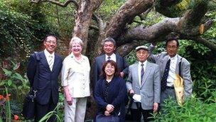 Japanese apple producers with the Bramley apple tree