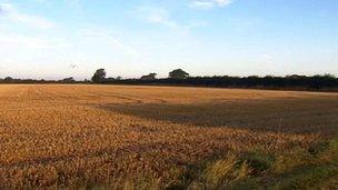 Farmland in St Osyth